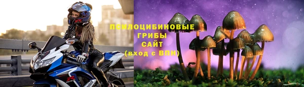гидропоника Армянск