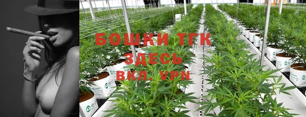 экстази Арсеньев